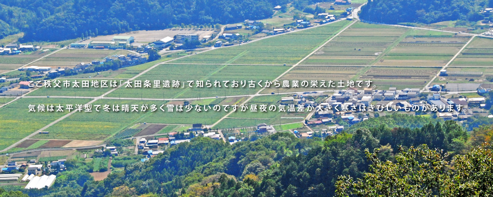 秩父は昼間と夜の温度差の大きい土地です。
そのことが野菜、米、果物などの農作物を美味しくしている理由のひとつです。