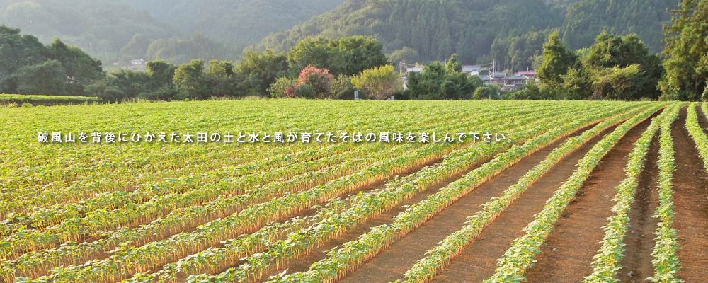 営業日が週3日と言うことでお客様にご迷惑をおかけしておりますが、そばの自家栽培、米と柿の栽培など農作業のためです。週3日間、新鮮な気持ちで全力で商売に打ち込むようにしております。