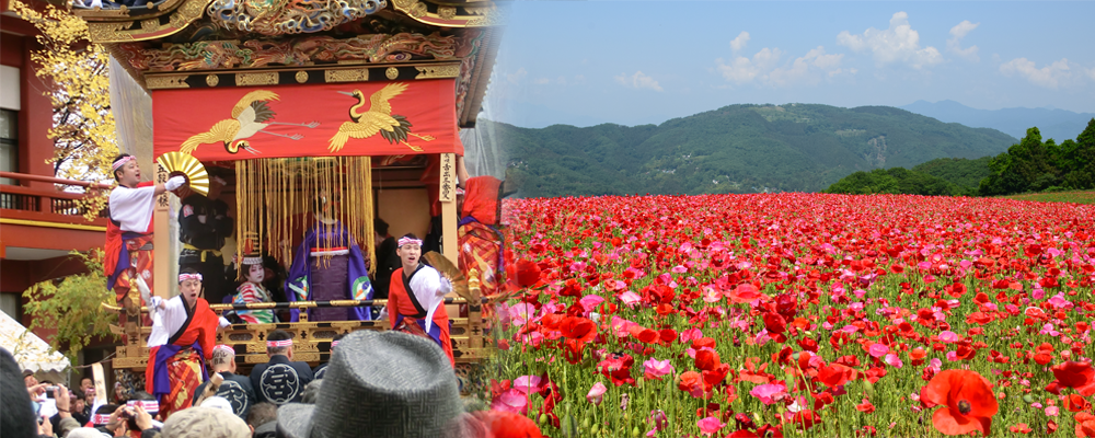 秩父夜祭・ポピー