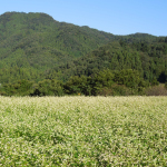 店主のこだわり